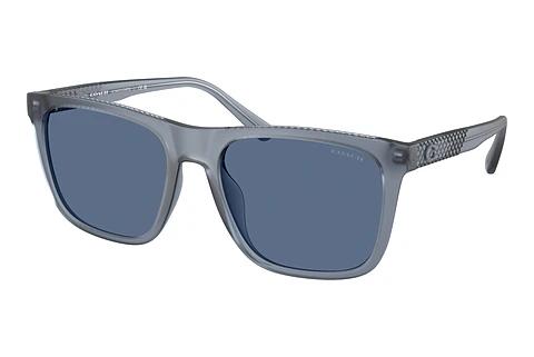 Sonnenbrille Coach CAE78 (HC8427U 587780)