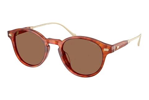 Sonnenbrille Coach CAD83 (HC8428U 577473)