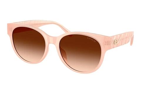 Sonnenbrille Coach CAE87 (HC8430D 511374)