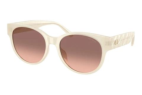 Sonnenbrille Coach CAE87 (HC8430D 588513)