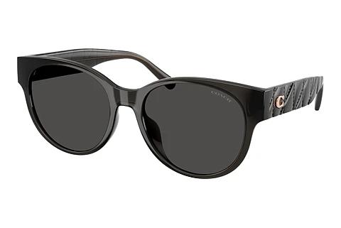 Sonnenbrille Coach CAE87 (HC8430D 589787)