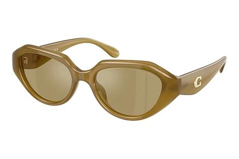 Sonnenbrille Coach CBY77 (HC8433U 590230)