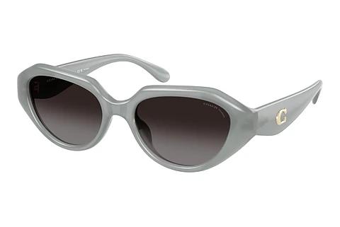 Sonnenbrille Coach CBY77 (HC8433U 5905T3)