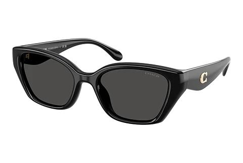Sonnenbrille Coach CBY91 (HC8434U 500287)