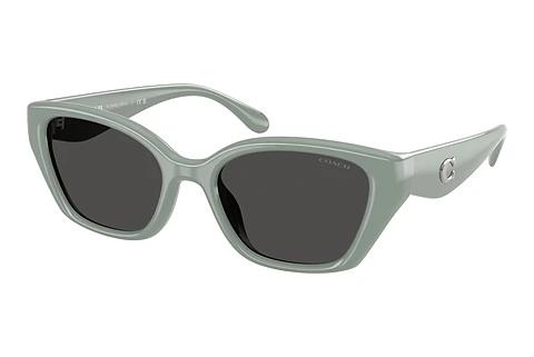 Sonnenbrille Coach CBY91 (HC8434U 592487)