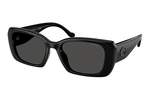 Sonnenbrille Coach CBY82 (HC8435U 500287)