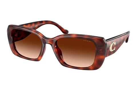 Sonnenbrille Coach CBY82 (HC8435U 577474)