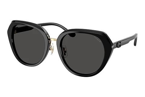 Sonnenbrille Coach CBY93 (HC8436 500287)