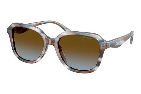 Sonnenbrille Coach CBY87 (HC8437U 589913)