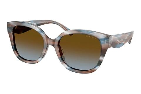 Sonnenbrille Coach CBY94 (HC8438U 589913)