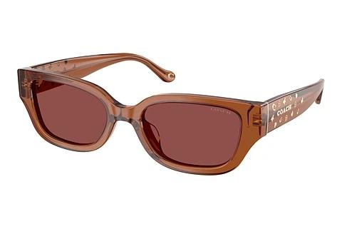 Sonnenbrille Coach CBZ52 (HC8439U 581175)