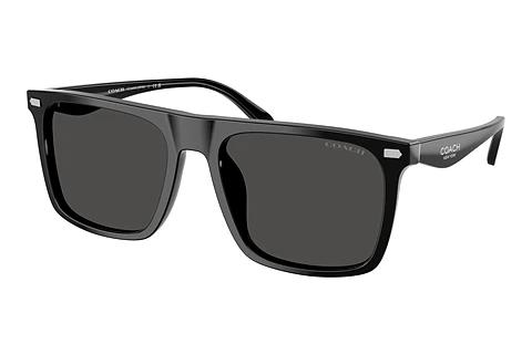 Sonnenbrille Coach CBY95 (HC8440U 500287)