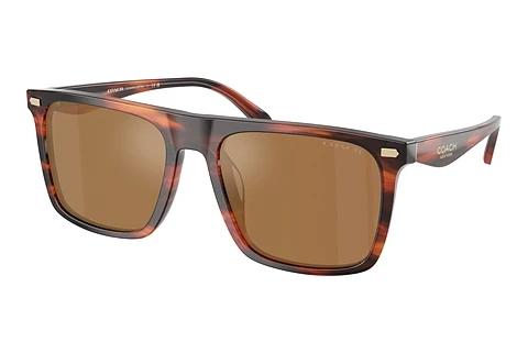 Sonnenbrille Coach CBY95 (HC8440U 5906/O)