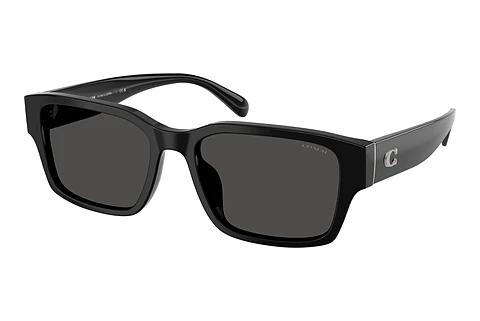 Sonnenbrille Coach CBY96 (HC8441U 500287)