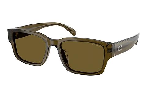 Sonnenbrille Coach CBY96 (HC8441U 591073)