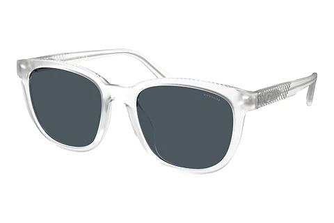 Sonnenbrille Coach CCA00 (HC8442U 511187)