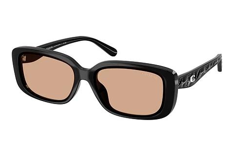 Sonnenbrille Coach CBY86 (HC8444D 50023G)