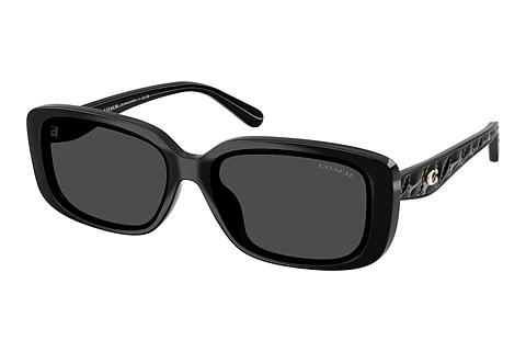 Sonnenbrille Coach CBY86 (HC8444D 500287)