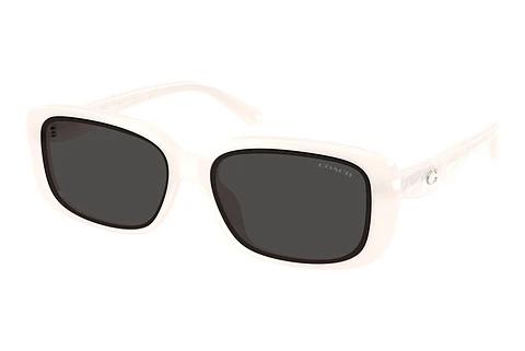 Sonnenbrille Coach CBY86 (HC8444D 579087)
