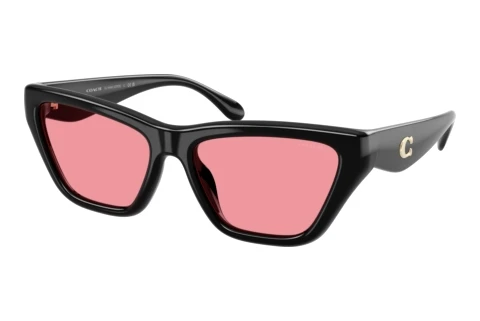 Sonnenbrille Coach CDP33 (HC8449U 500284)
