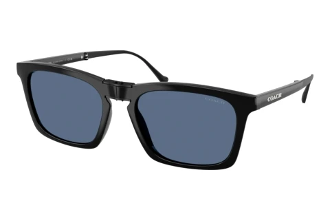 Sonnenbrille Coach CDP54 (HC8455 500280)