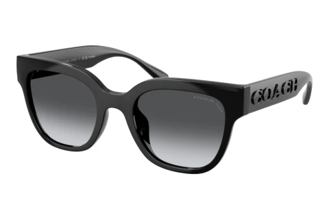 Sonnenbrille Coach CFT88 (HC8460U 5002T3)