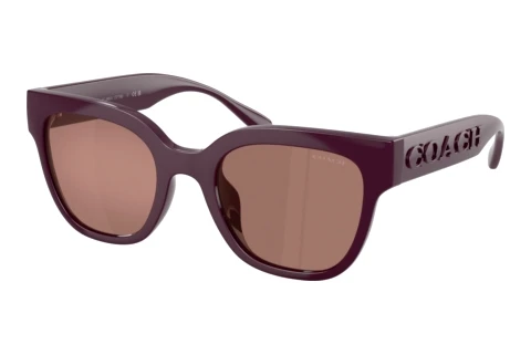 Sonnenbrille Coach CFT88 (HC8460U 59596G)