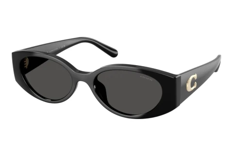 Sonnenbrille Coach CFU06 (HC8462U 500287)