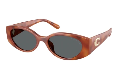 Sonnenbrille Coach CFU06 (HC8462U 577481)
