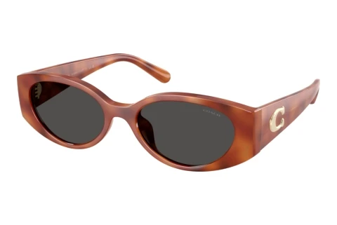 Sonnenbrille Coach CFU06 (HC8462U 577487)