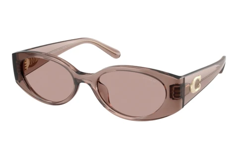 Sonnenbrille Coach CFU06 (HC8462U 59627N)