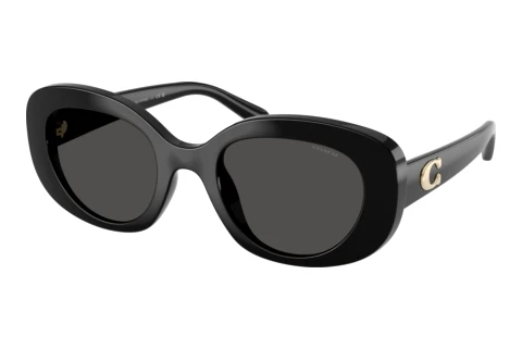 Sonnenbrille Coach CFU08 (HC8463U 500287)