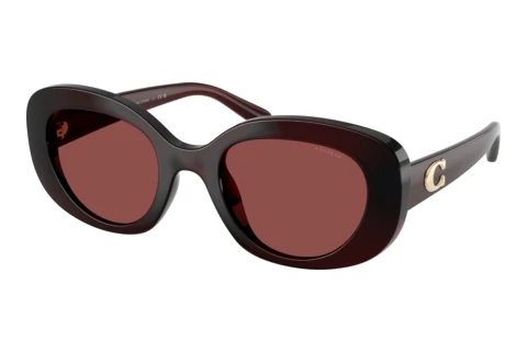 Sonnenbrille Coach CFU08 (HC8463U 596375)