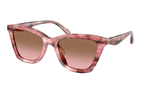 Sonnenbrille Coach CFU10 (HC8464U 596414)