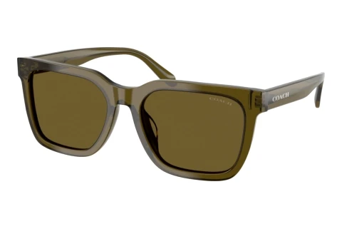 Sonnenbrille Coach CFU12 (HC8466U 591073)