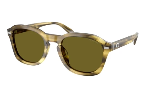 Sonnenbrille Coach CFU14 (HC8467U 5945/2)