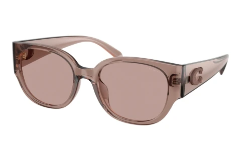 Sonnenbrille Coach CFU17 (HC8469D 59627N)