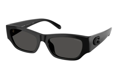 Sonnenbrille Coach CFU16 (HC8470D 500287)