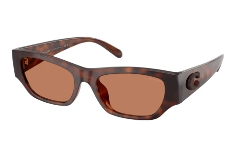 Sonnenbrille Coach CFU16 (HC8470D 5120/3)