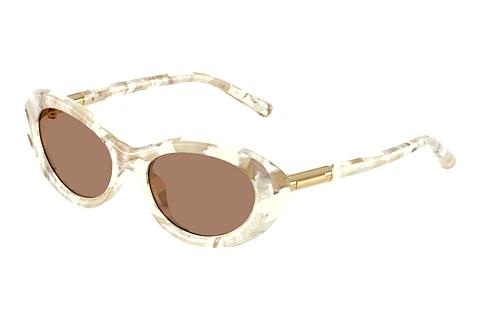 Sonnenbrille Dolce & Gabbana DG4519 346173