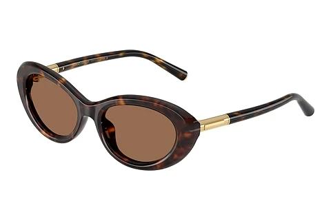 Sonnenbrille Dolce & Gabbana DG4519 502/73