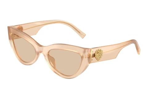 Sonnenbrille Dolce & Gabbana DG4536 308993