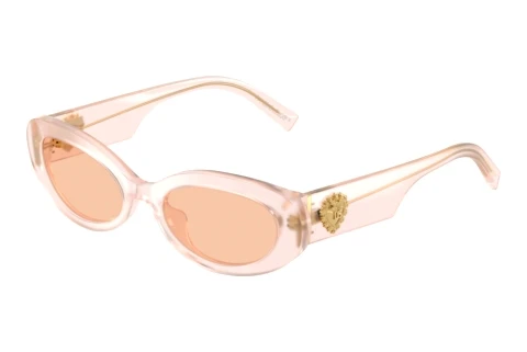 Sonnenbrille Dolce & Gabbana DG4537 304173