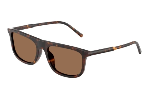 Sonnenbrille Dolce & Gabbana DG4542 502/73