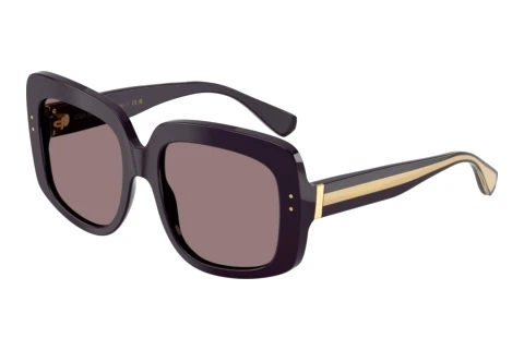Sonnenbrille Dolce & Gabbana DG4557 35017N