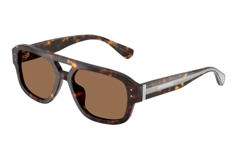 Sonnenbrille Dolce & Gabbana DG4561 502/73