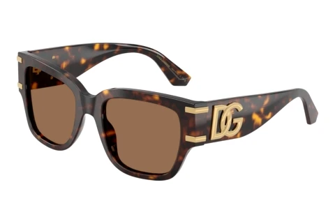 Sonnenbrille Dolce & Gabbana DG4563 502/73