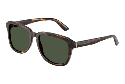 Sonnenbrille Dolce & Gabbana DG4566 502/9A