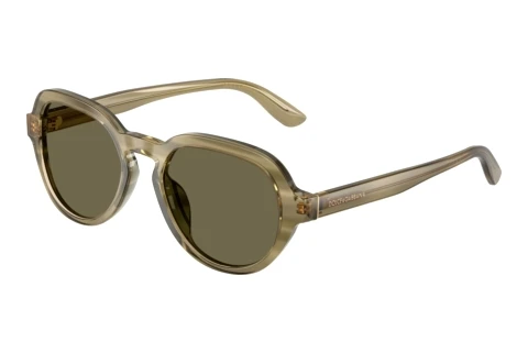 Sonnenbrille Dolce & Gabbana DG4567 3480/3
