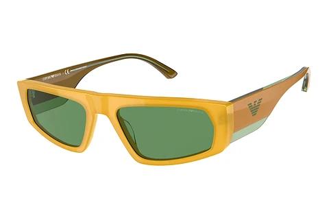 Sonnenbrille Emporio Armani EA4168 5908/2